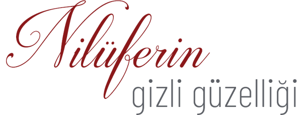 nilüfer villa